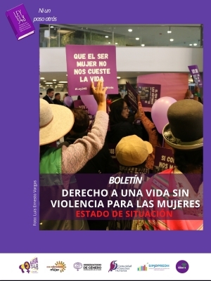 Boletín: Derecho a una vida sin violencia para las mujeres - Estado de situación